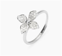 Anello Mabina Donna Fiore Mio in Argento Zircone 523519 - 523519